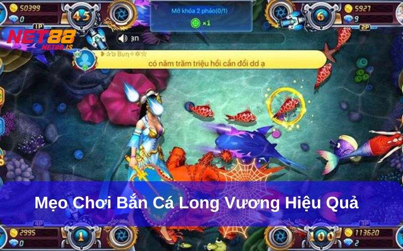 Mẹo chơi Bắn cá Long Vương hiệu quả
